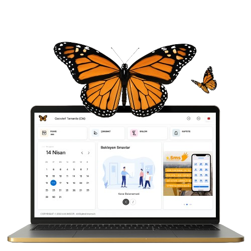 Kelebek sınav sistemi kurulumu